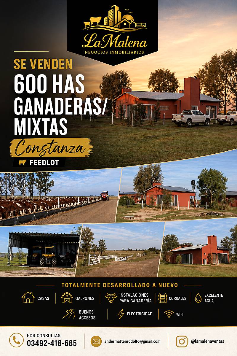 600 Has Mixtas/ganaderas Desarrolladas.