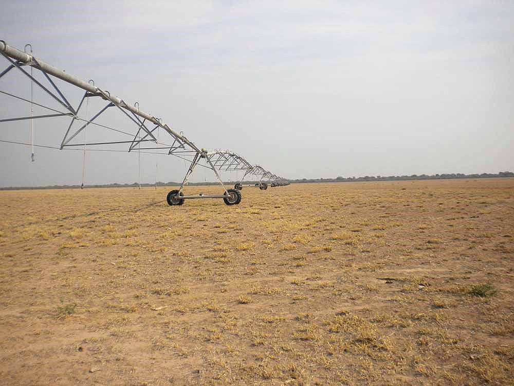 Cruz del Eje (córdoba) -1500 Has.-