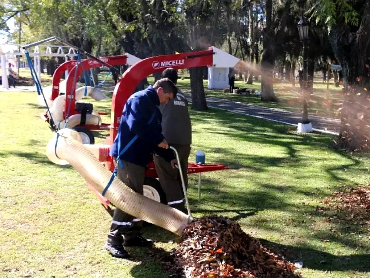 Aspiradora de Hojas Micelli