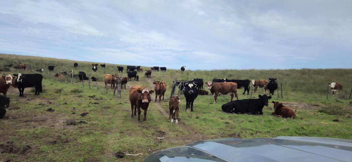 440 Ha Argerich, Sobre Ruta