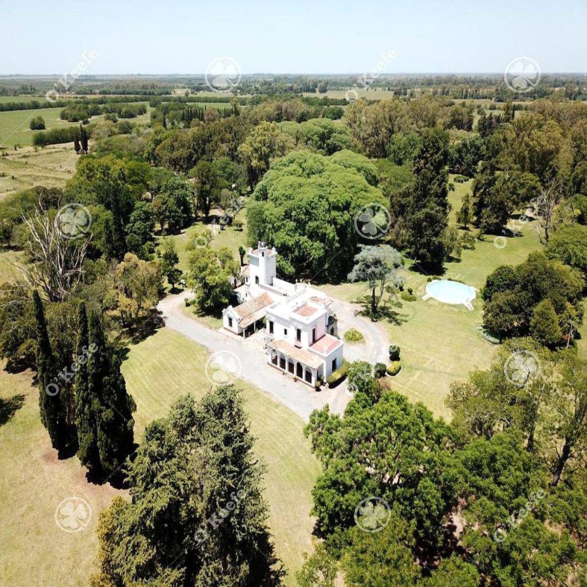 Campo en Venta de 80 Has en Gualeguay, Entre Rios. Agricola.