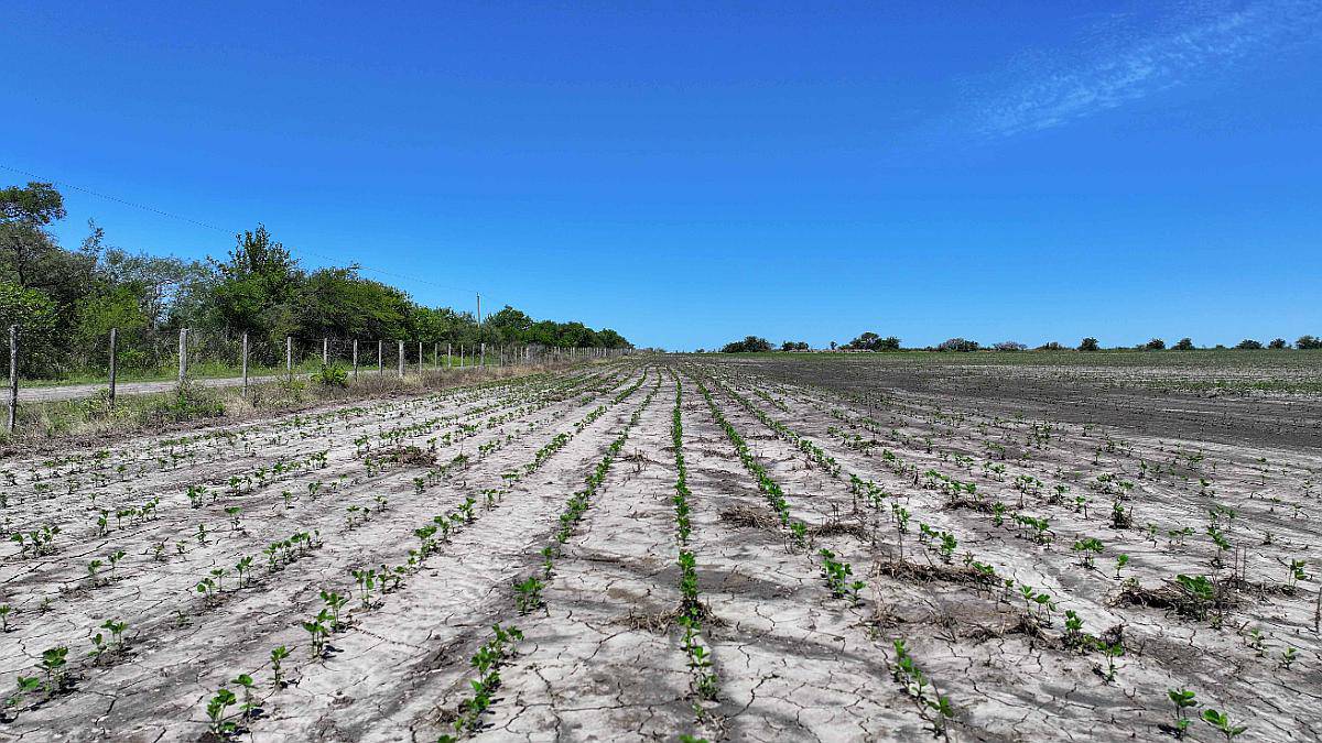 Pcia. de Entre Rios - Estacion Raices 63 Has