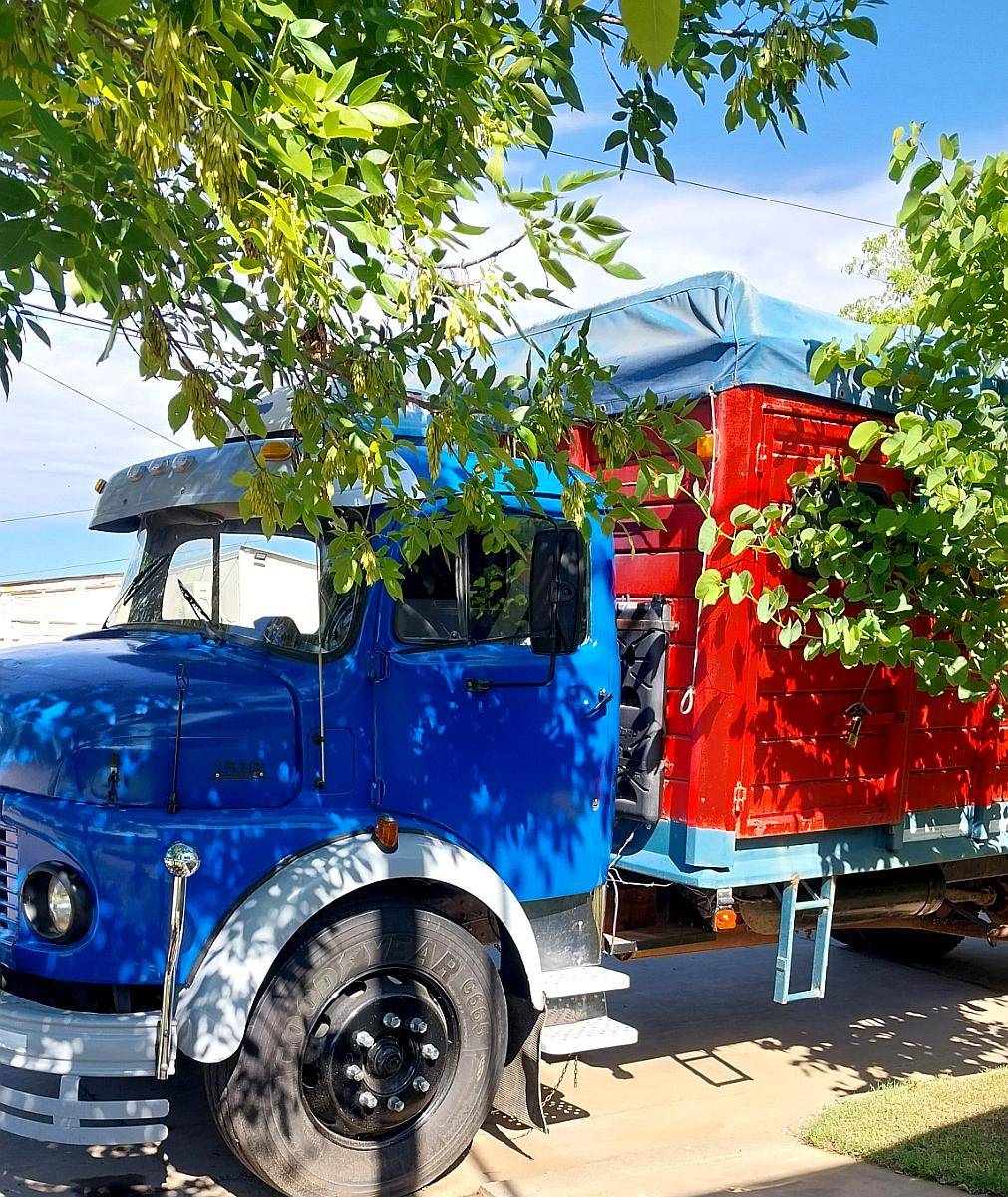 1114 1518 Mercedes Benz