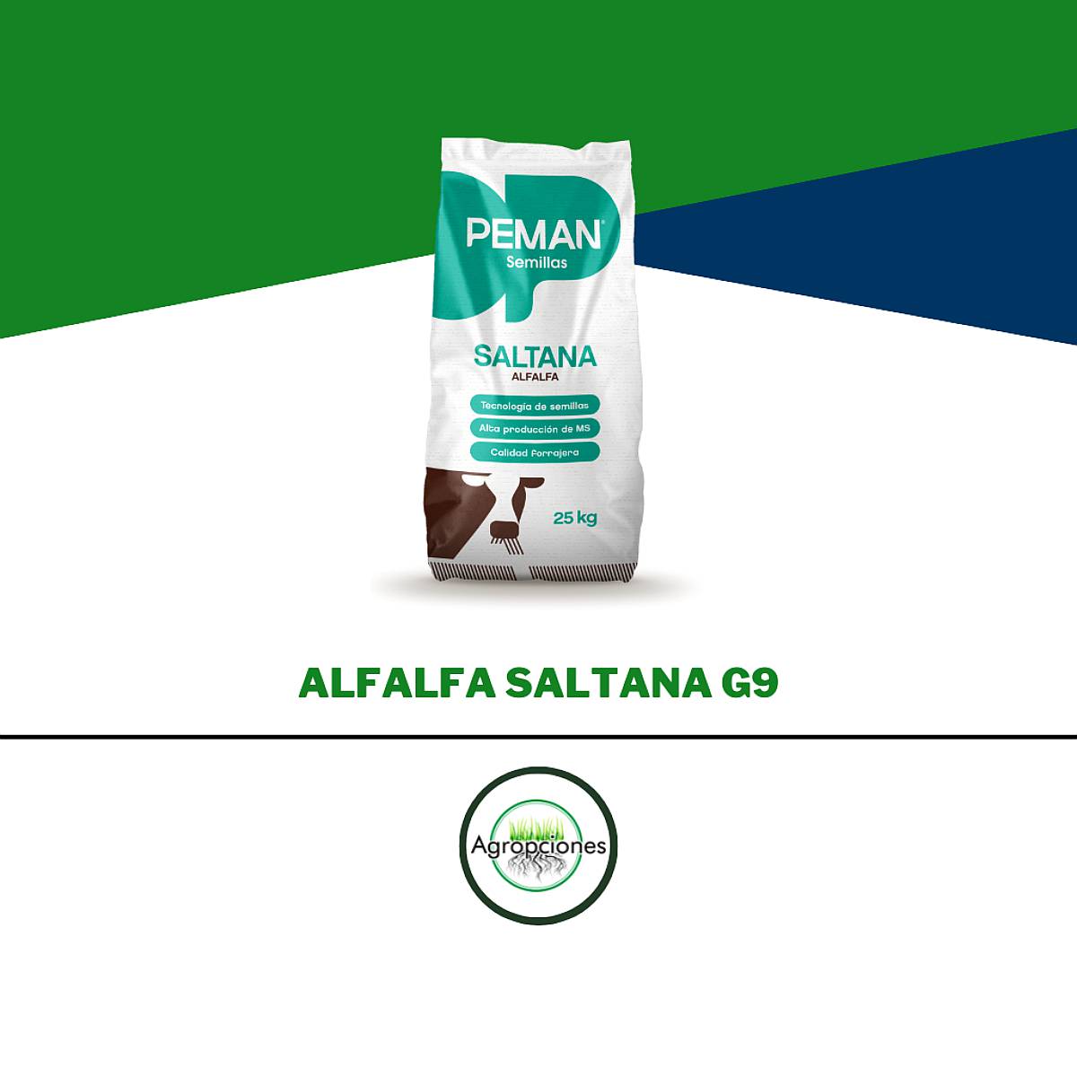 Semilla de Alfalfa Saltana - Grupo 9