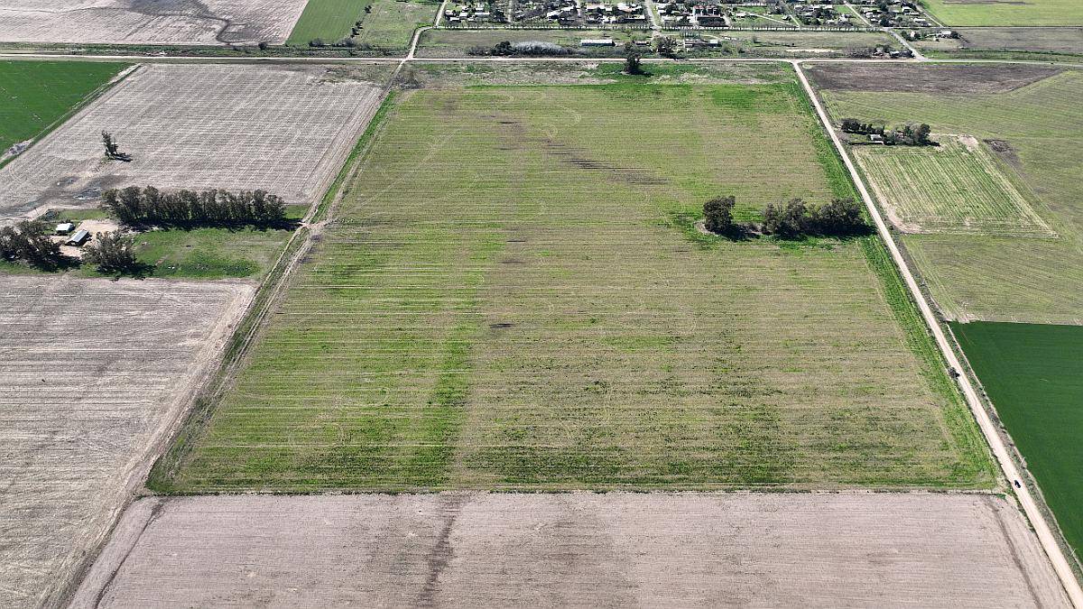 Mariano Benitez, Pergamino, Buenos Aires - 46 Ha