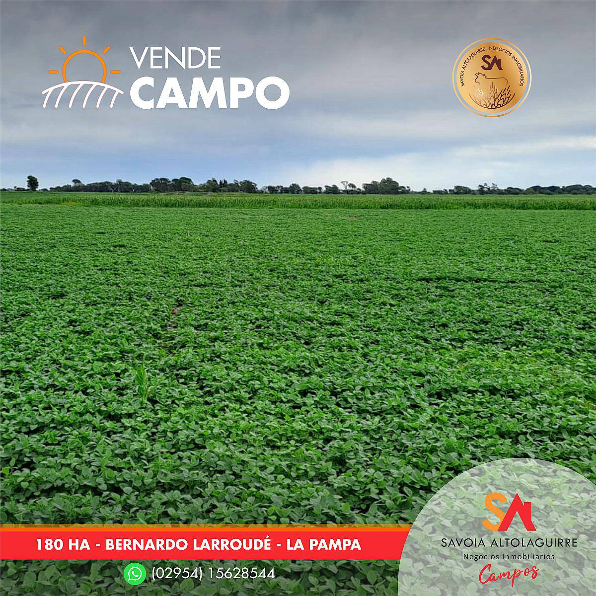 Vende: Campo de 180 Hectáreas. Ubicadas en Bernardo Larroudé