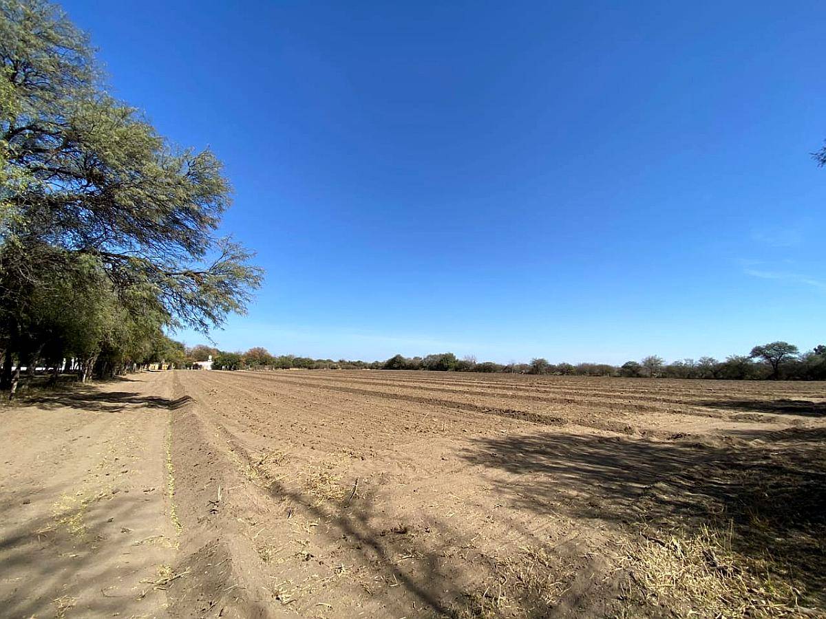 Media Naranja - Cruz del Eje - Córdoba
