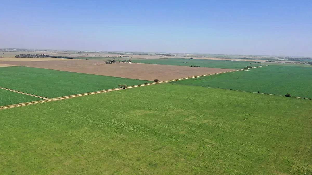 Villa María, Córdoba - 532 Ha