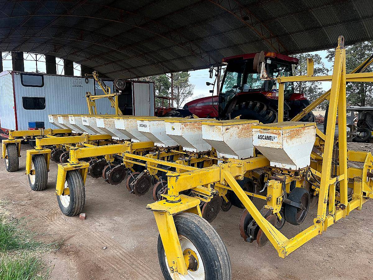 Ascanelli RS 2000 10 a 70