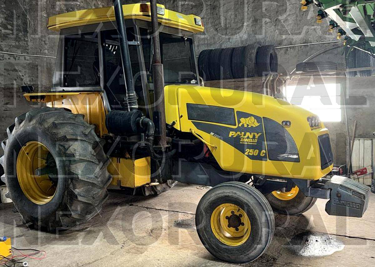 Pauny 250c, 2008, Traccion Simple. 6200 HS. Cabina con Aire.