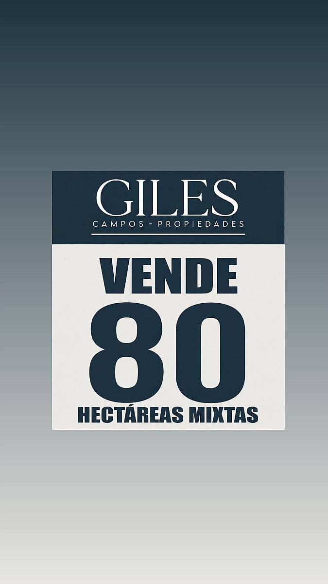 80 Hectáreas Mixtas el Paraíso