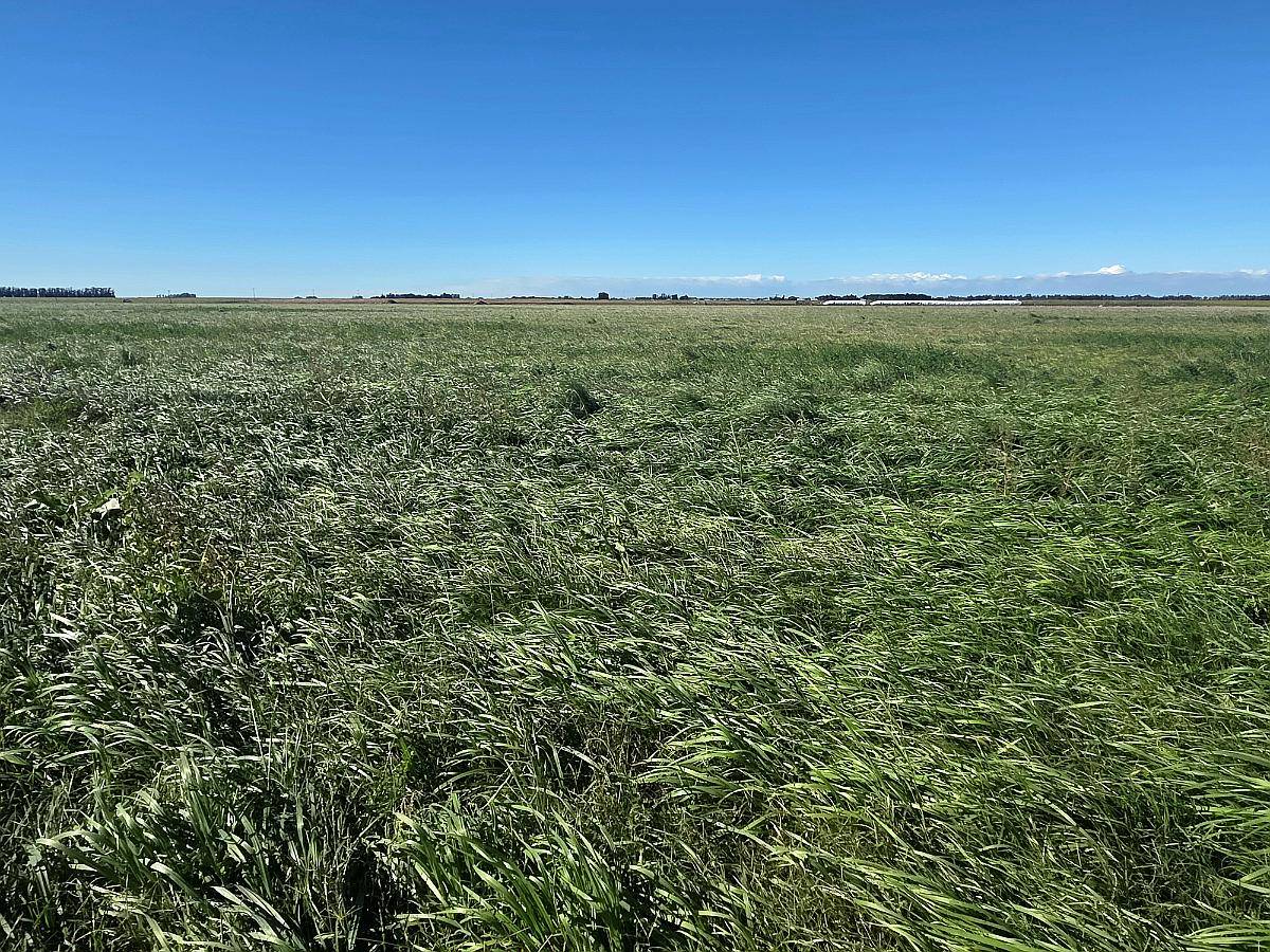 200 Ha Agricolas SC
