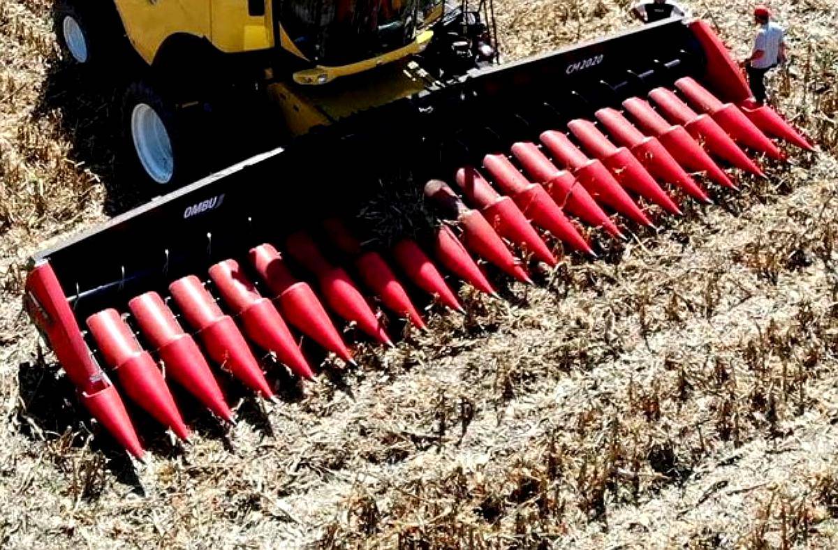 Cabezal Maicero CM2020 - Ombú