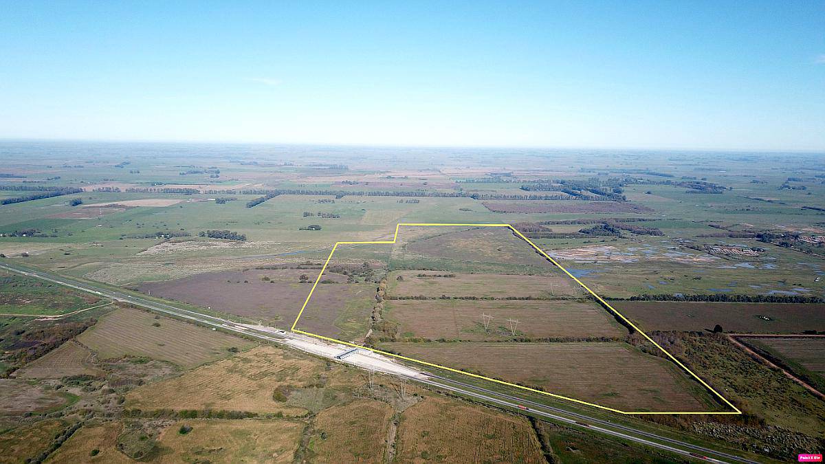 140 Has. Campo Sobre Ruta 6, Cañuelas - las Heras