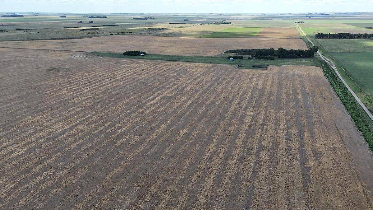 700 Hectáreas Pehuenco, BS. AS.