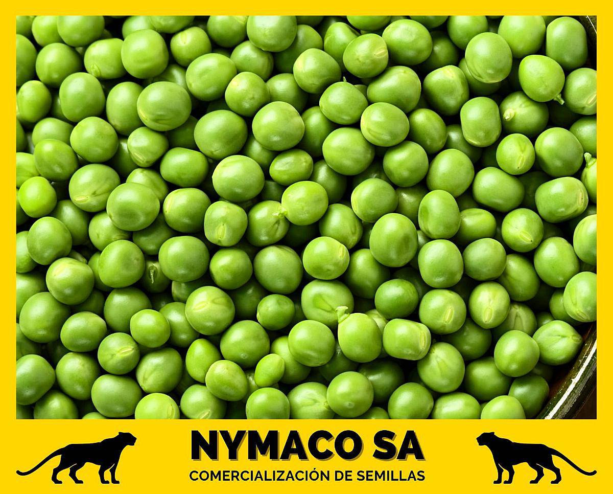 Compramos Arvejas en Zonas Productoras