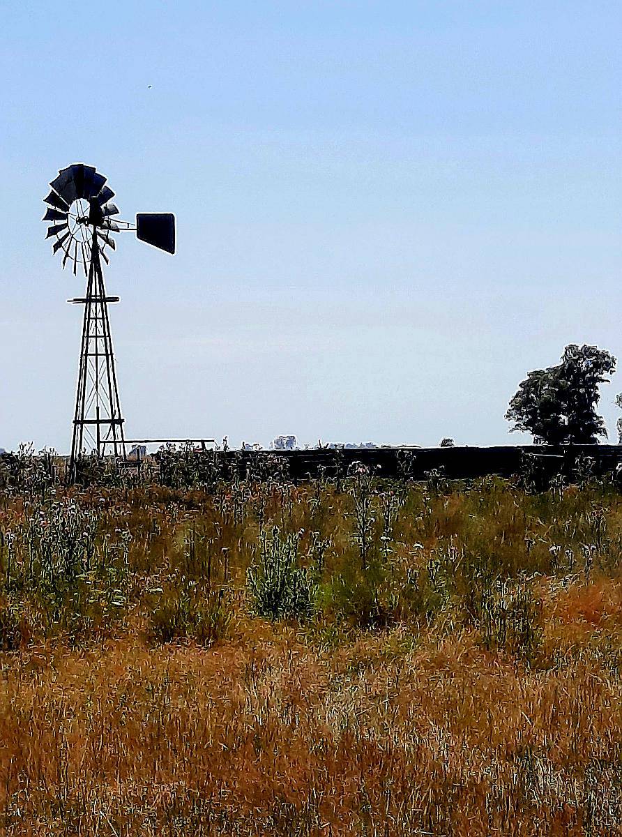 Venta Chacra 20 Has en Balcarce