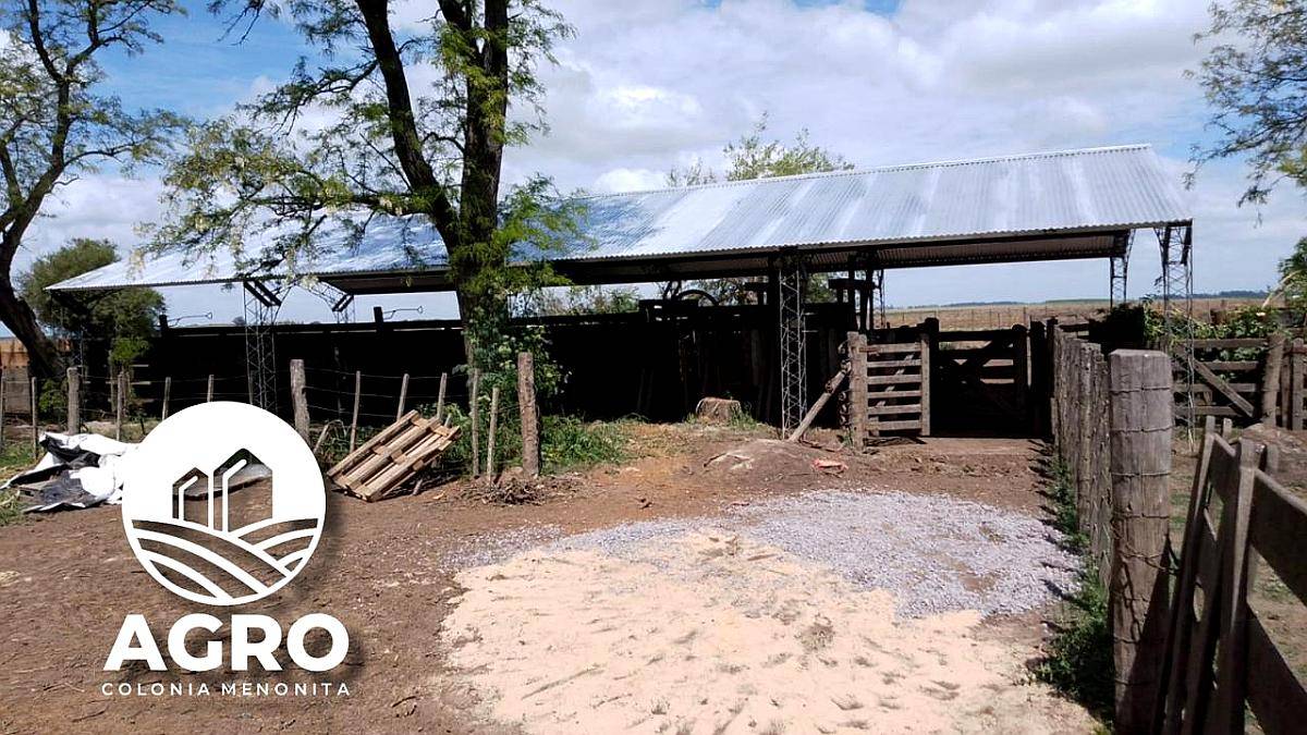 Tinglado para Mangas Reforzados
