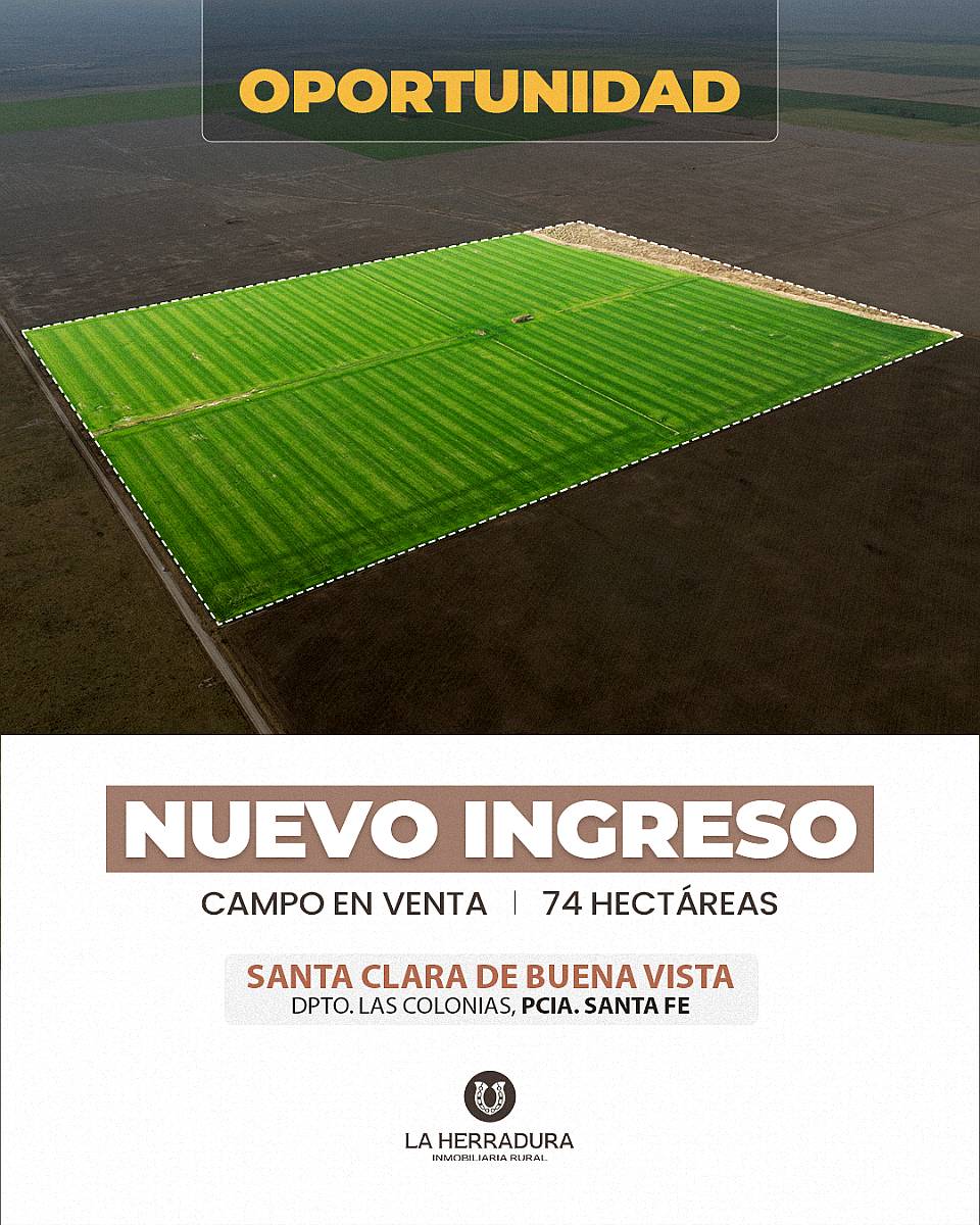 Santa Clara de Buena Vista 73 Has. Campo en Venta