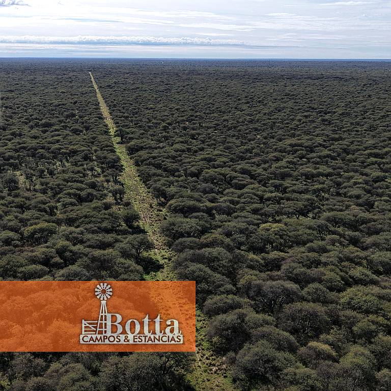 Establecimiento Ganadero de 1475 Hectáreas, Arizona,san Luis