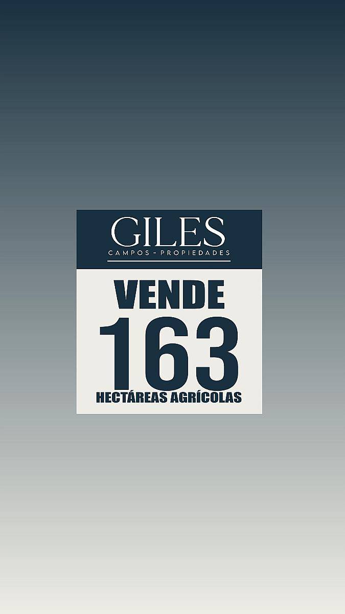 Campo Agrícola 163 Hectáreas Suelo Urquiza 1