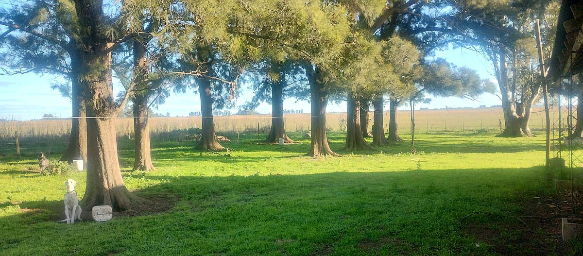 302 Has Ayacucho Pcia BS AS