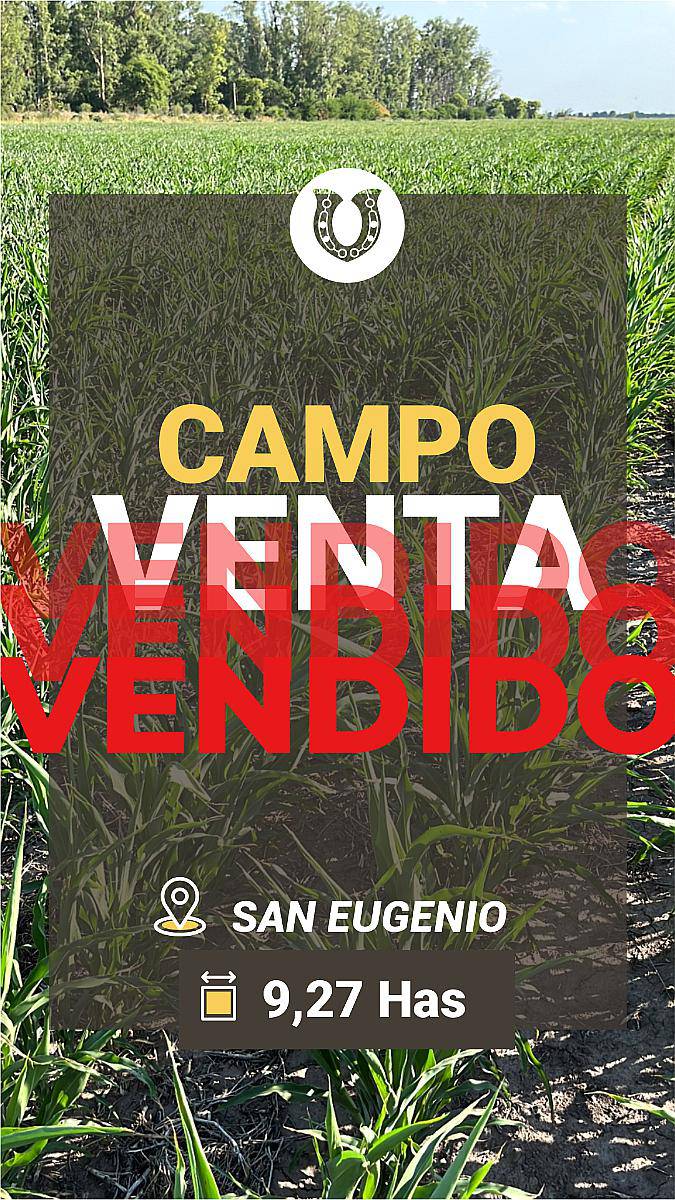 San Eugenio 9has Agrícola, Suelo 1 Excelente. Campo en Venta