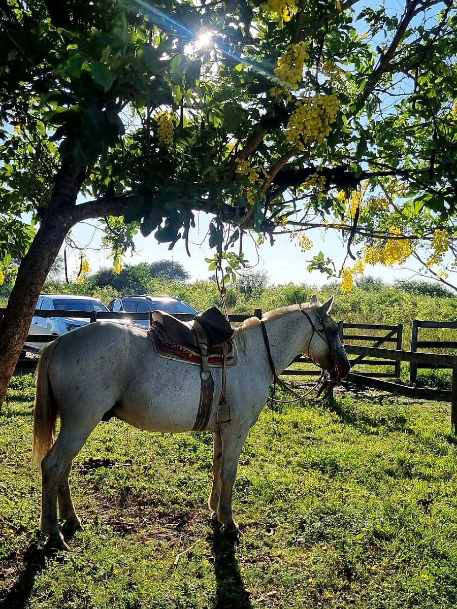 Campo Ganadero 2780 Has Gral San Martin a 23 KM.