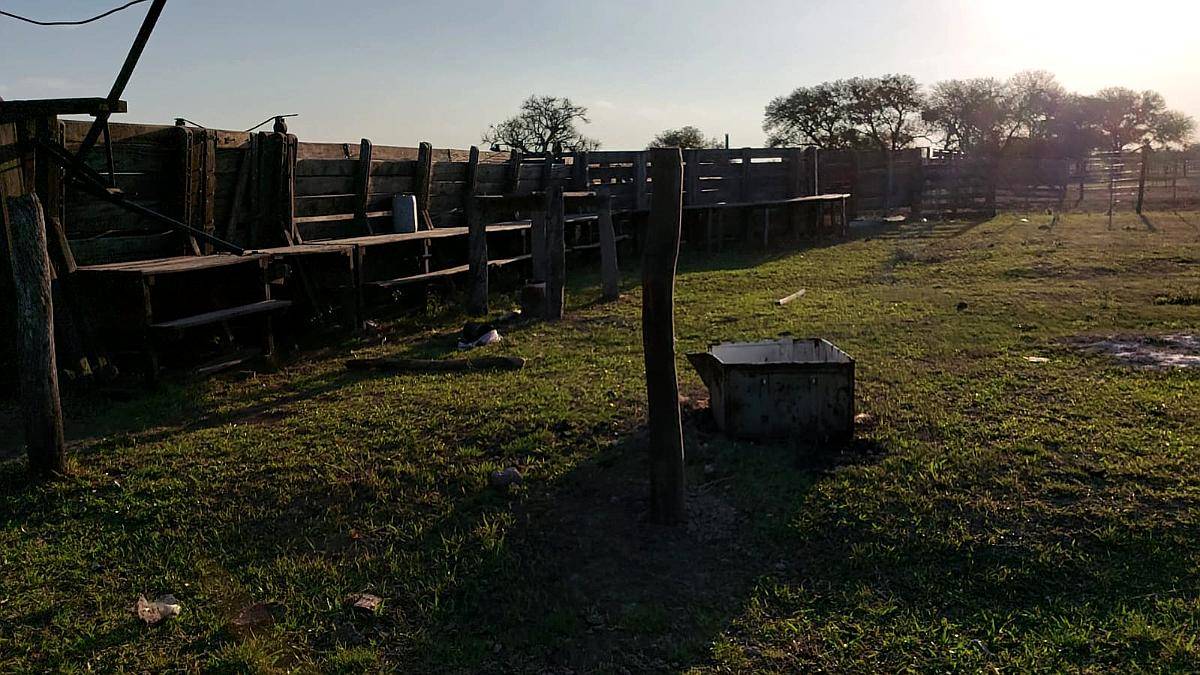 1000 Ha Mixtas en Santa FE. Campo de Excelencia