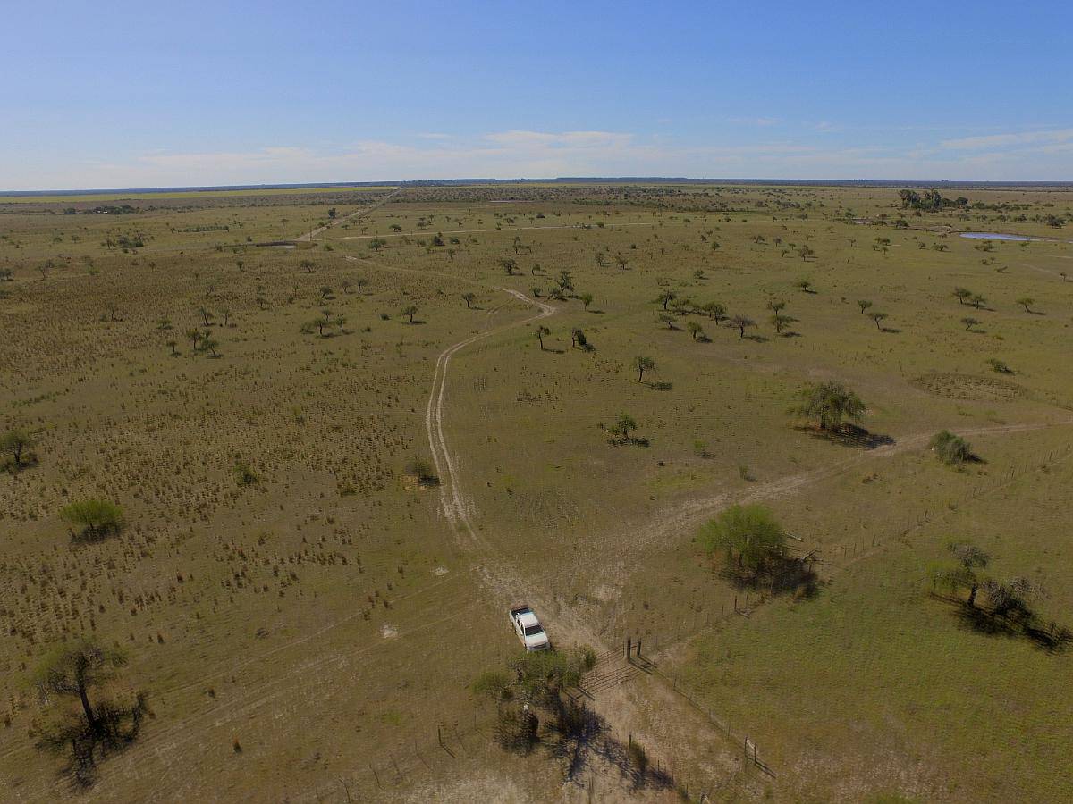 Venta 95 Has. Mixtas en Mercedes - Corrientes