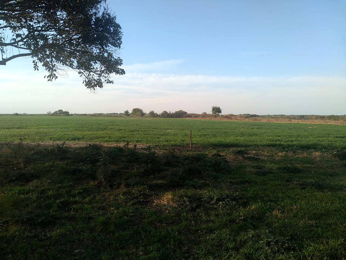 58 Ha Mixtas. Cerrito. Acceso por Ripio. Cercano a la Ruta.