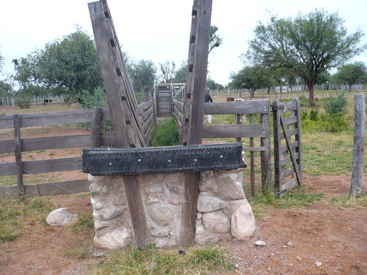 Se Vende Campo Ganadero
