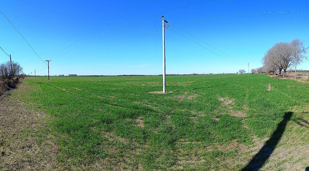 Venta de Campo Agricola