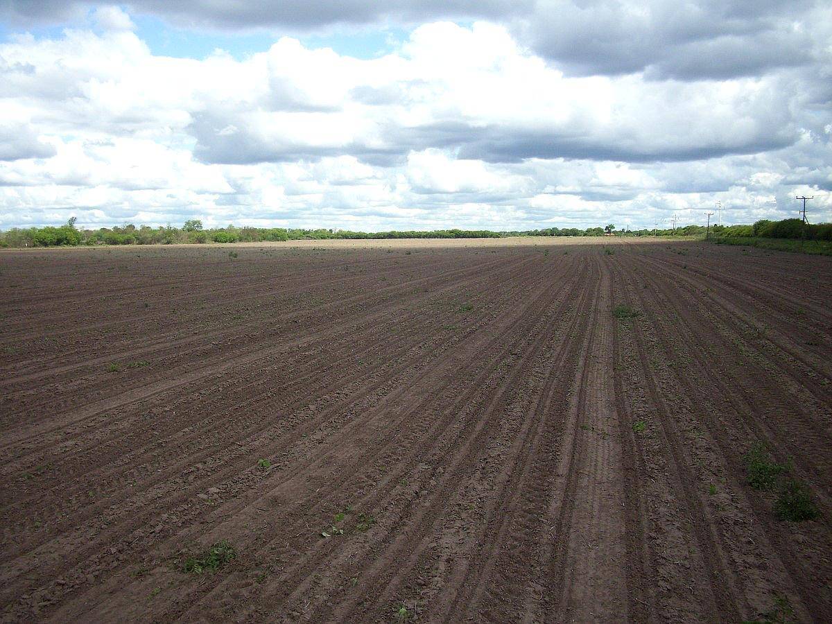 Dueño Vende 89 Has. en Tres Isletas