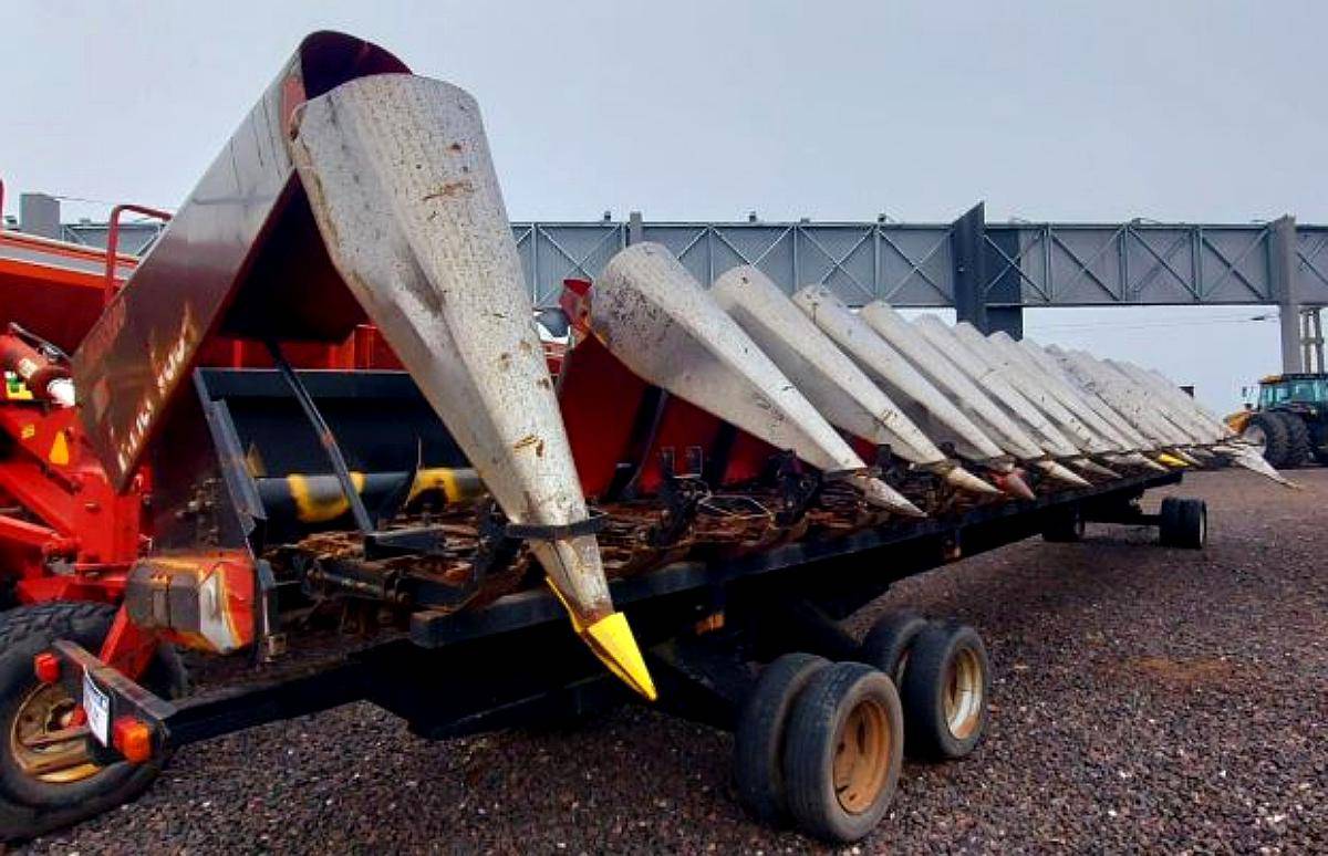 Maicero Franco Fabril - año 2011