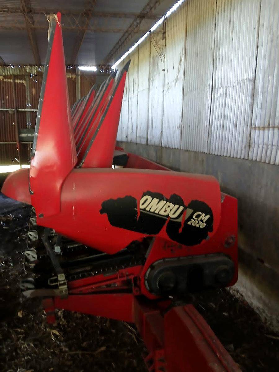 Maicero Ombu de 16 a 52