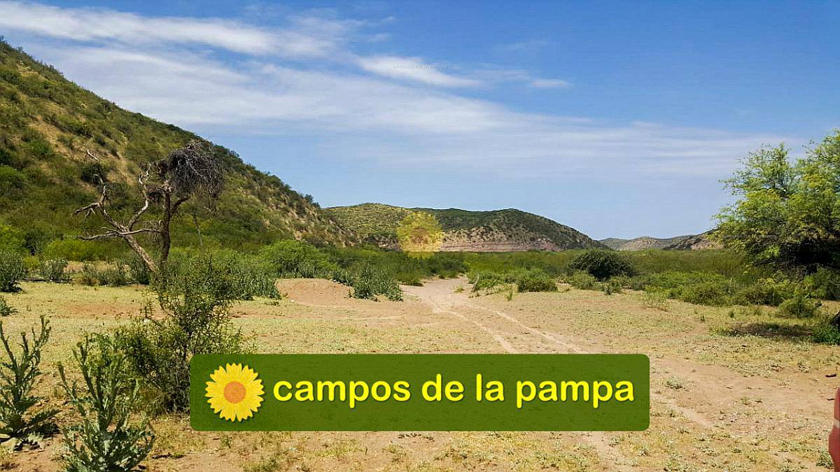 Mendoza - Venta Estancia Ganadera 94.000 Ha