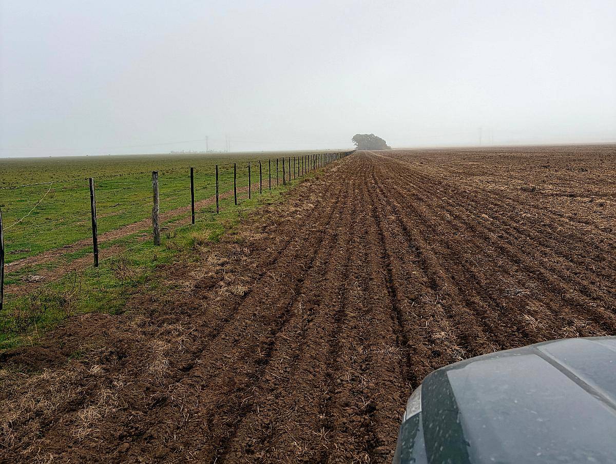 220 Ha Cabildo, Tornquist