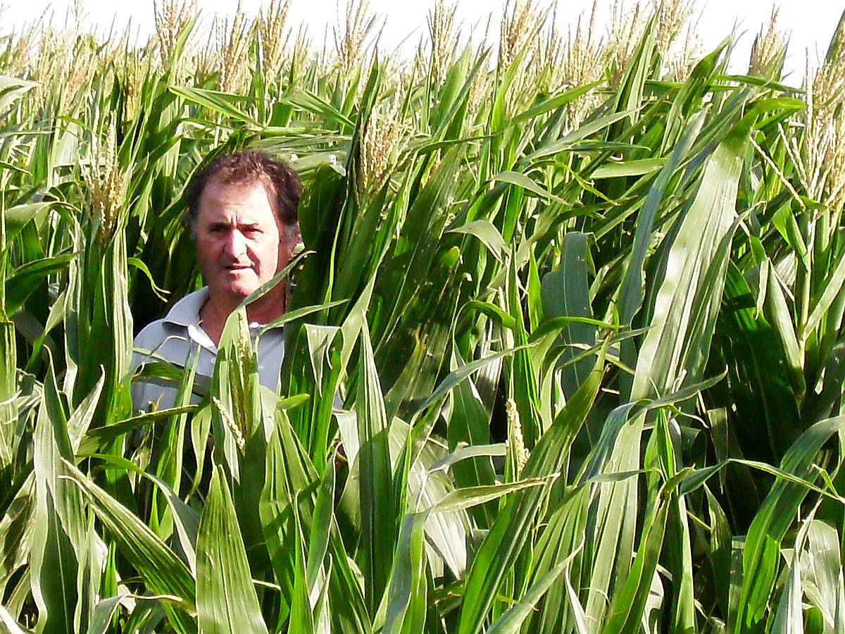 800ha Tambo Armado +equipo de Riego +1000 Vacas Kiwi Cross