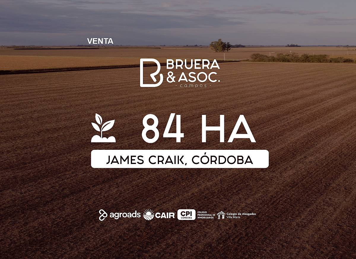 Campo 84 Hectáreas - James Craik