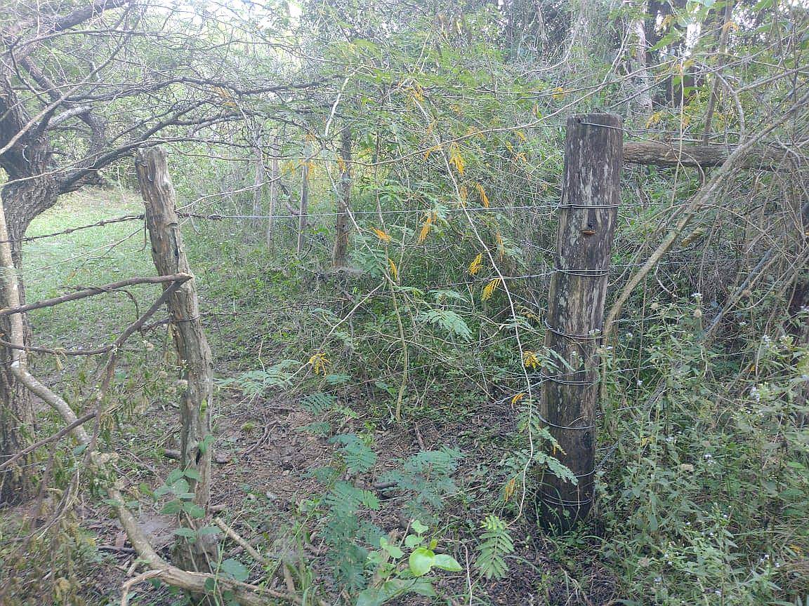 36 Has en la Paz, Entre Rios