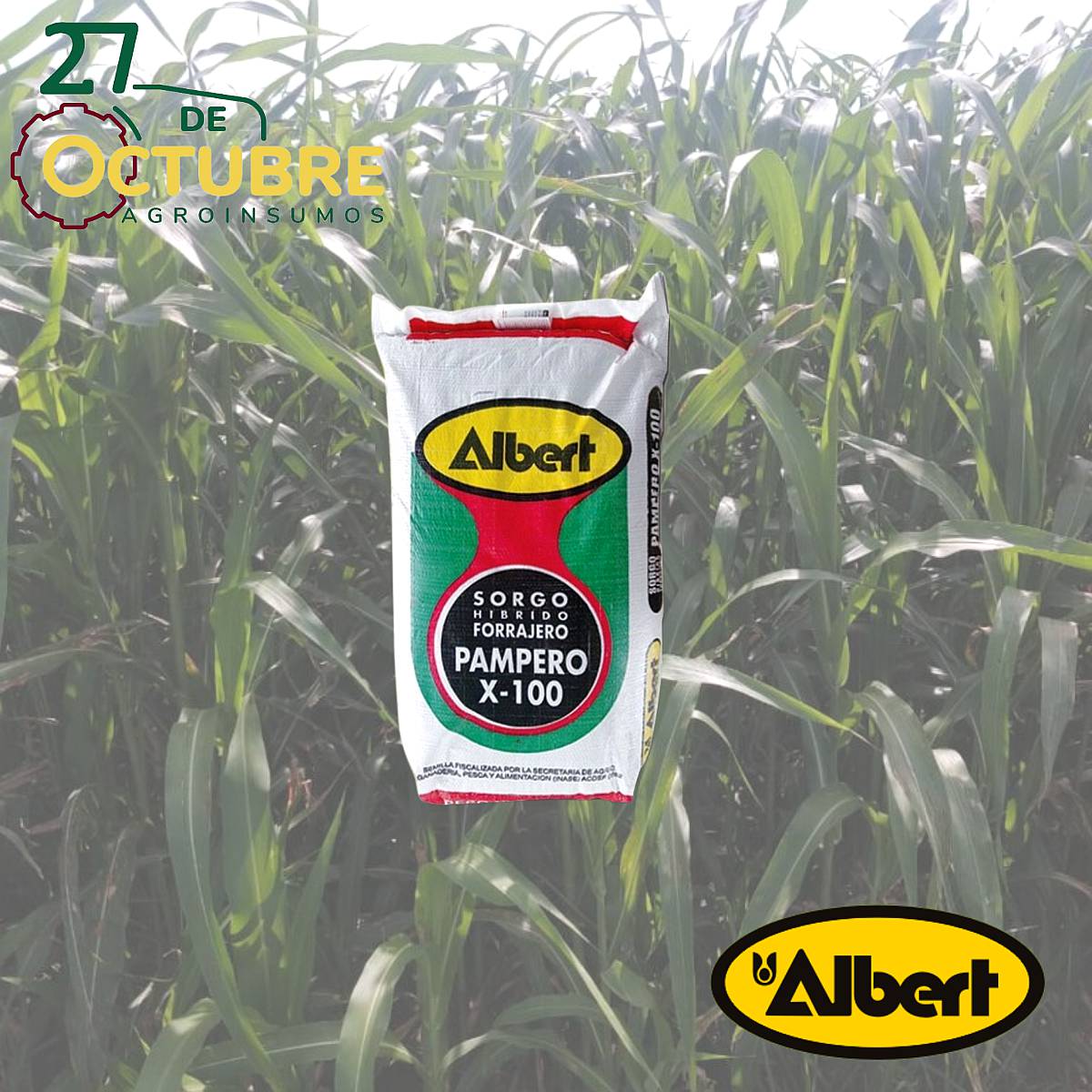 Sorgo Albert Pampero X-100