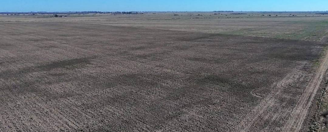 Se Vende Campo Agricola - los Surgentes