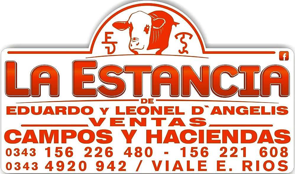 33 Has Ganaderas en el Pingo