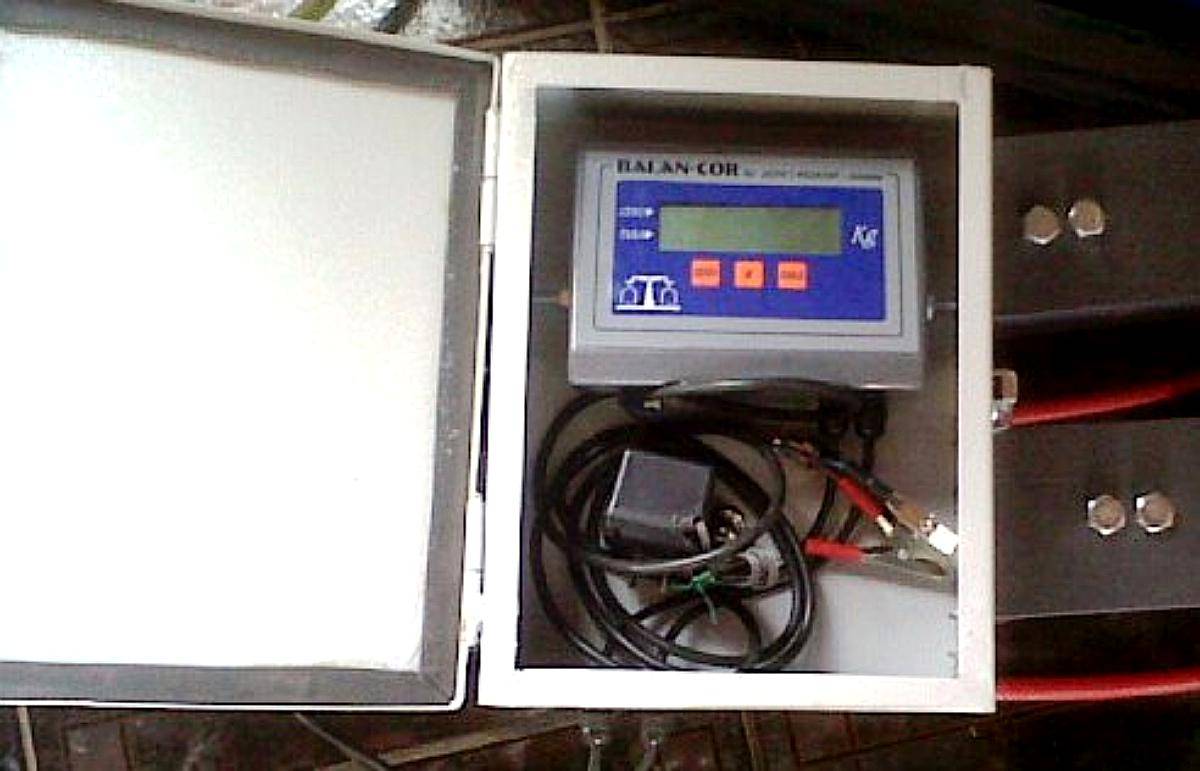 Bascula Electronica 3.000 Kg 2.50 X 3.00