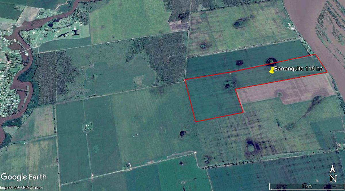 Timbues – 115 Ha - Santa FE