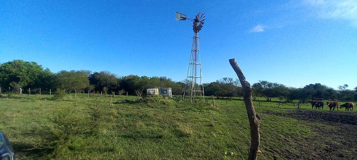 Campo Mixto 360 Hectareas