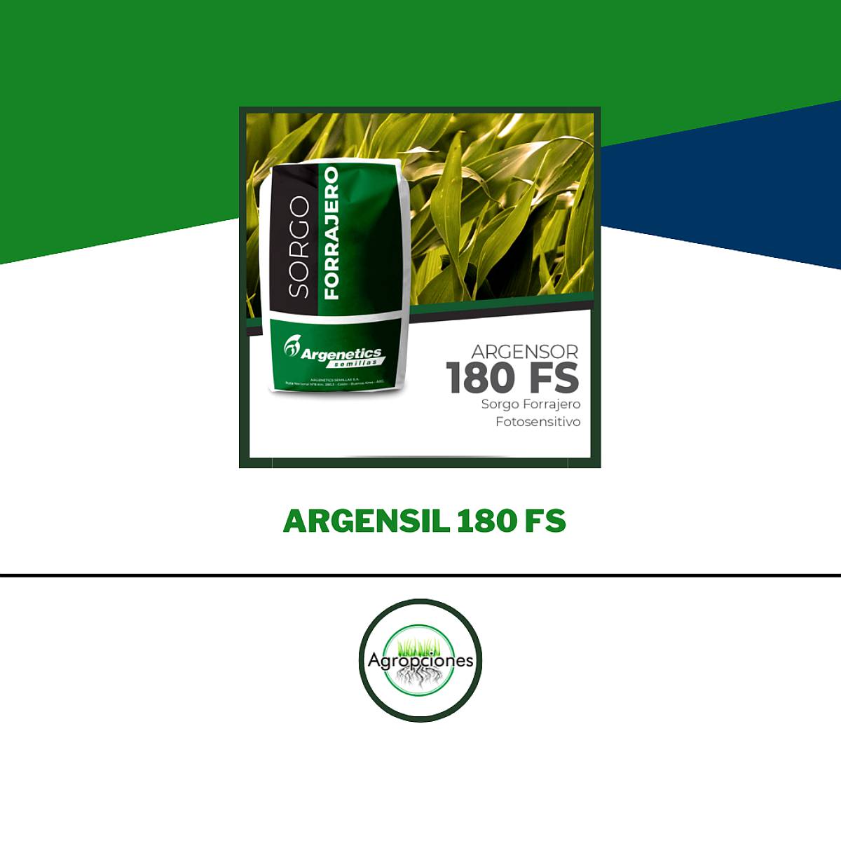 Semilla de Sorgo Fotosensitivo Argenfor 180 FS