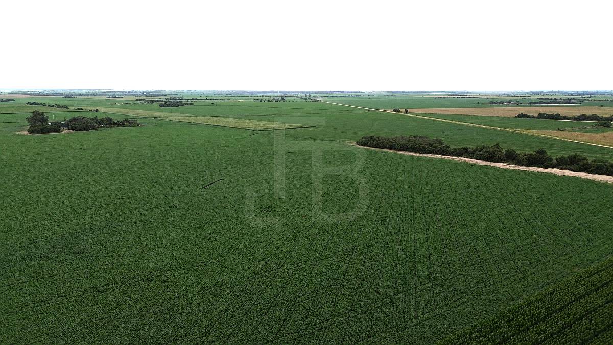 32 Has Agrícolas Lozada, Cordoba