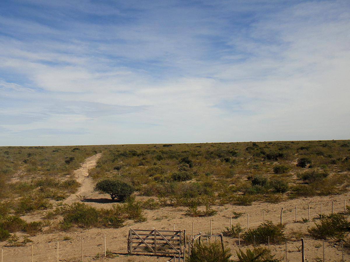 11.286 Has. Curaco - la Pampa
